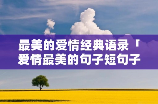 最美的爱情经典语录「爱情最美的句子短句子」
