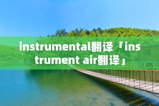 instrumental翻译「instrument air翻译」