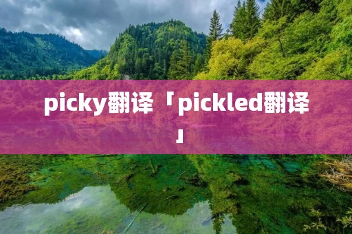 picky翻译「pickled翻译」