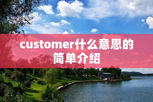 customer什么意思的简单介绍