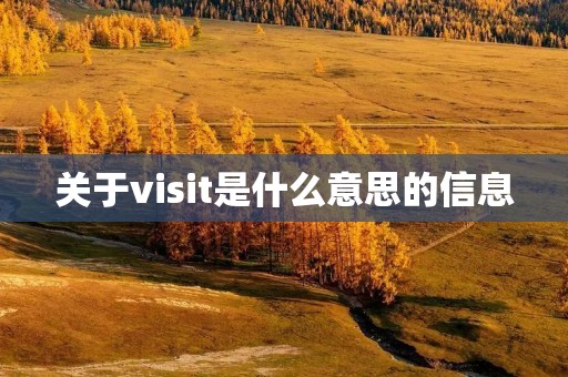 关于visit是什么意思的信息