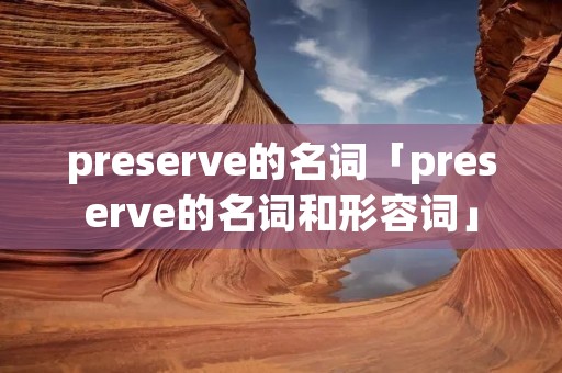 preserve的名词「preserve的名词和形容词」