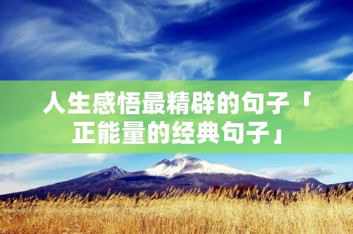 人生感悟最精辟的句子「正能量的经典句子」