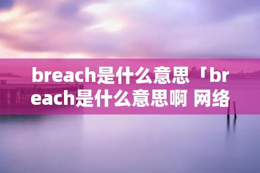breach是什么意思「breach是什么意思啊 网络安全」