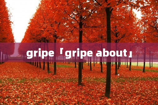 gripe「gripe about」 gripe「gripe about」