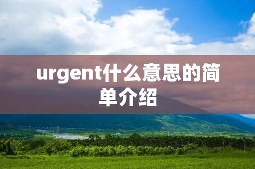 urgent什么意思的简单介绍 urgent什么意思的简单介绍