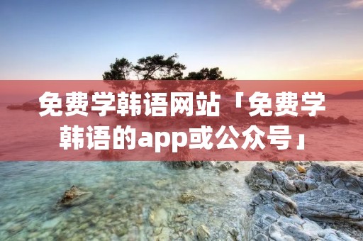 免费学韩语网站「免费学韩语的app或公众号」