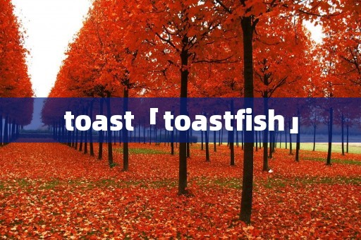 toast「toastfish」