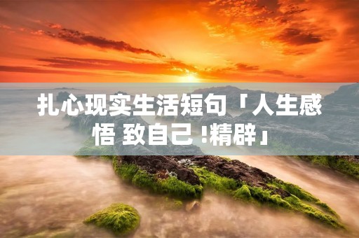 扎心现实生活短句「人生感悟 致自己 !精辟」 扎心现实生活短句「人生感悟 致自己 !精辟」