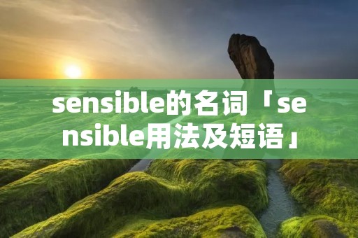 sensible的名词「sensible用法及短语」