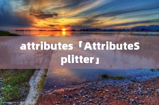 attributes「AttributeSplitter」 attributes「AttributeSplitter」