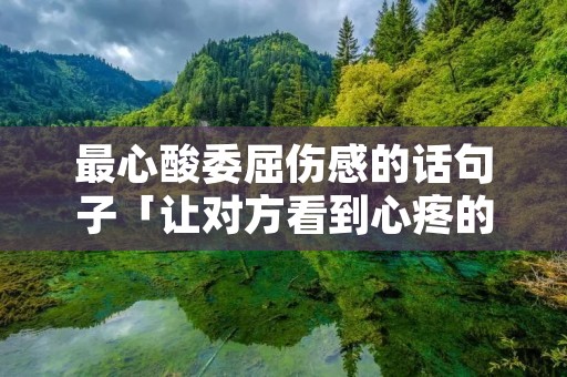 最心酸委屈伤感的话句子「让对方看到心疼的句子」