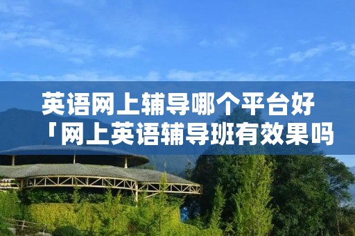英语网上辅导哪个平台好「网上英语辅导班有效果吗」