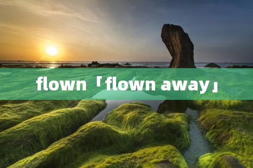 flown「flown away」