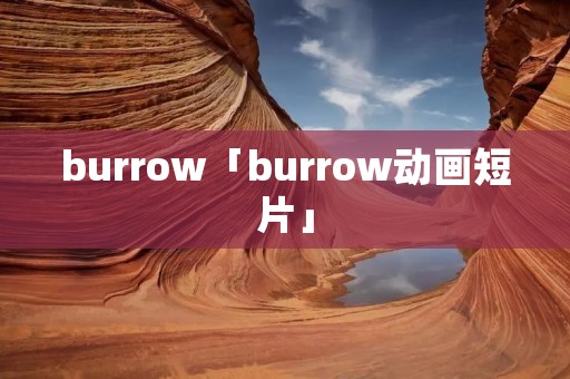burrow「burrow动画短片」