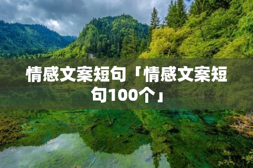 情感文案短句「情感文案短句100个」