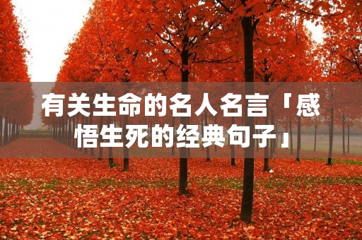 有关生命的名人名言「感悟生死的经典句子」