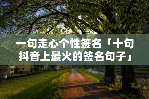 一句走心个性签名「十句抖音上最火的签名句子」