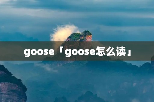 goose「goose怎么读」