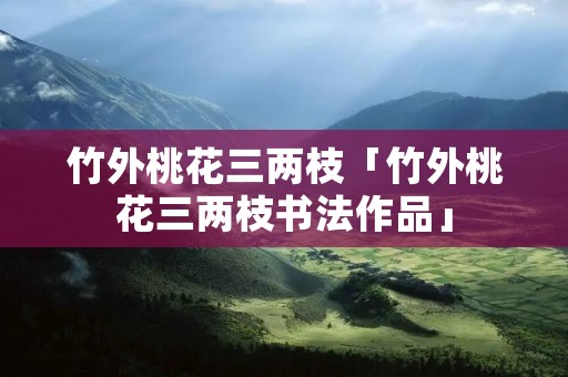 竹外桃花三两枝「竹外桃花三两枝书法作品」