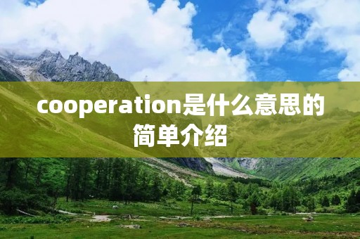 cooperation是什么意思的简单介绍 cooperation是什么意思的简单介绍