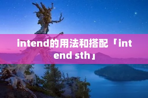 intend的用法和搭配「intend sth」