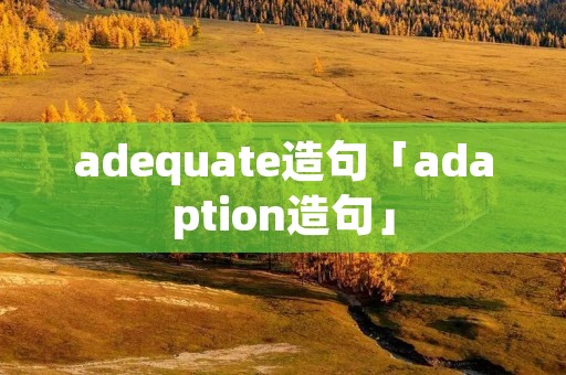 adequate造句「adaption造句」