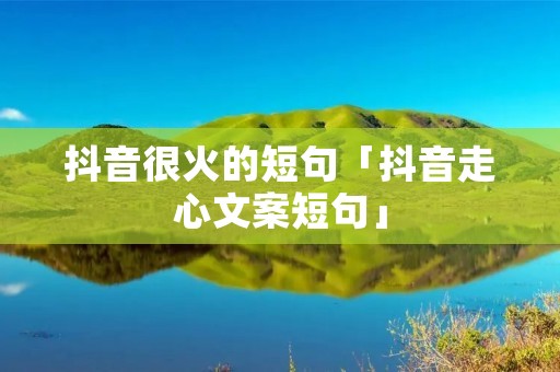 抖音很火的短句「抖音走心文案短句」