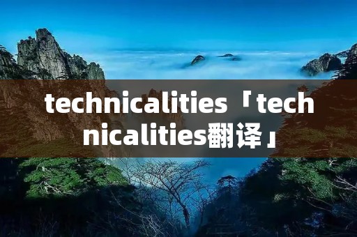 technicalities「technicalities翻译」