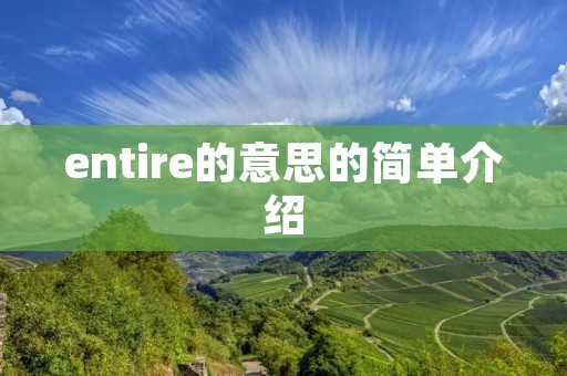 entire的意思的简单介绍 entire的意思的简单介绍