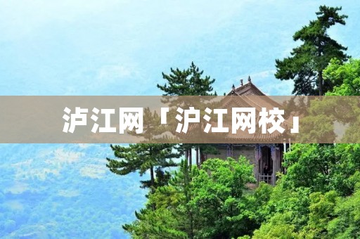 泸江网「沪江网校」