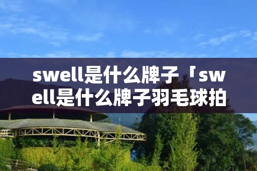 swell是什么牌子「swell是什么牌子羽毛球拍」