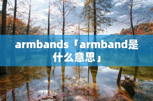 armbands「armband是什么意思」