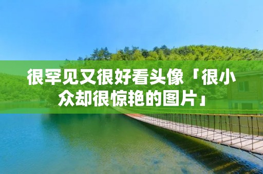 很罕见又很好看头像「很小众却很惊艳的图片」