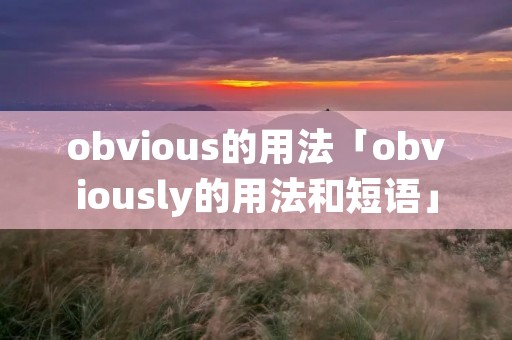 obvious的用法「obviously的用法和短语」
