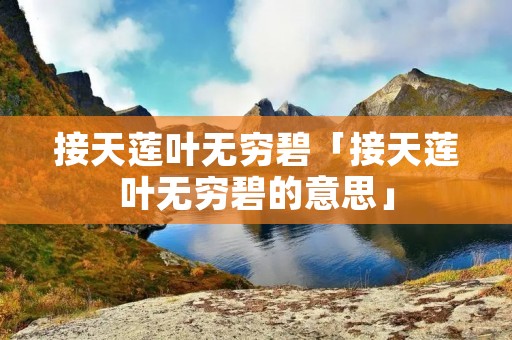 接天莲叶无穷碧「接天莲叶无穷碧的意思」 接天莲叶无穷碧「接天莲叶无穷碧的意思」