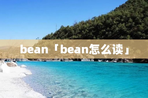 bean「bean怎么读」