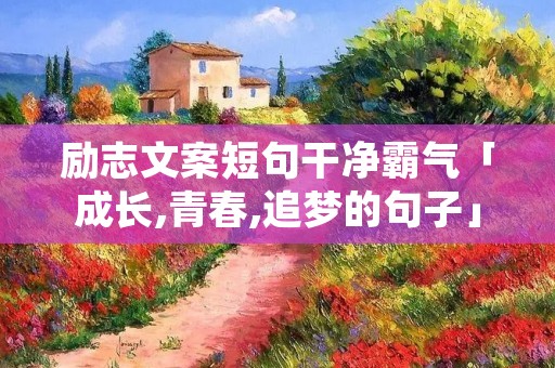 励志文案短句干净霸气「成长,青春,追梦的句子」