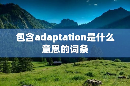包含adaptation是什么意思的词条