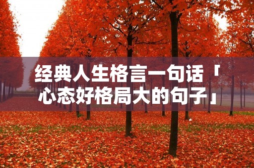 经典人生格言一句话「心态好格局大的句子」