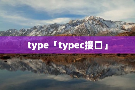 type「typec接口」