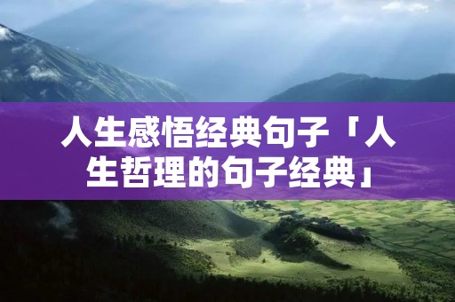 人生感悟经典句子「人生哲理的句子经典」