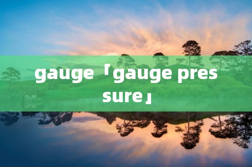 gauge「gauge pressure」 gauge「gauge pressure」