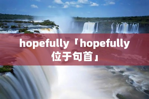hopefully「hopefully位于句首」