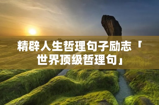 精辟人生哲理句子励志「世界顶级哲理句」