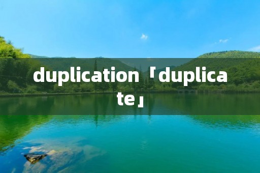 duplication「duplicate」 duplication「duplicate」