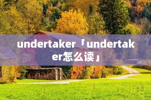 undertaker「undertaker怎么读」