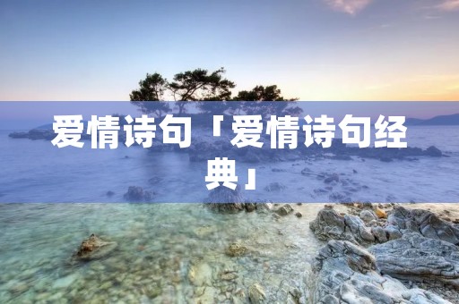 爱情诗句「爱情诗句经典」