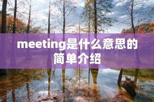 meeting是什么意思的简单介绍 meeting是什么意思的简单介绍