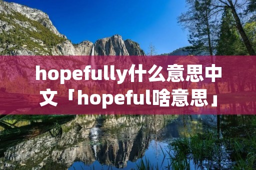 hopefully什么意思中文「hopeful啥意思」